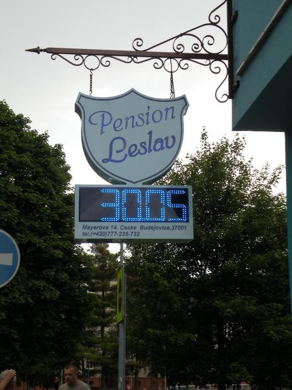 Penzion- Leslav Чеське Будєйовіце Екстер'єр фото