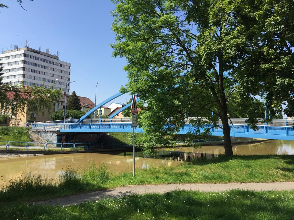 Penzion- Leslav Чеське Будєйовіце Екстер'єр фото