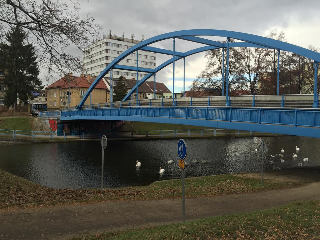 Penzion- Leslav Чеське Будєйовіце Екстер'єр фото