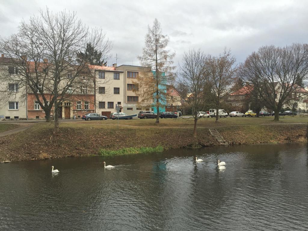 Penzion- Leslav Чеське Будєйовіце Екстер'єр фото